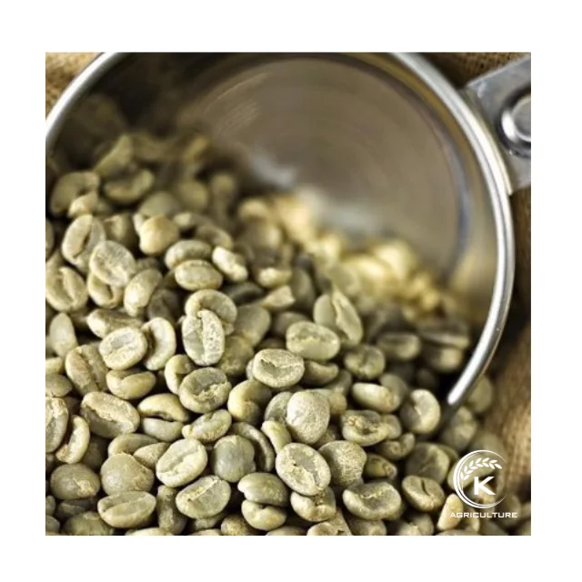 Vietnam Green Bean Coffee Best Price Arabica Beans For Worldwide Importer Raw Coffee Beans Of High Quality.