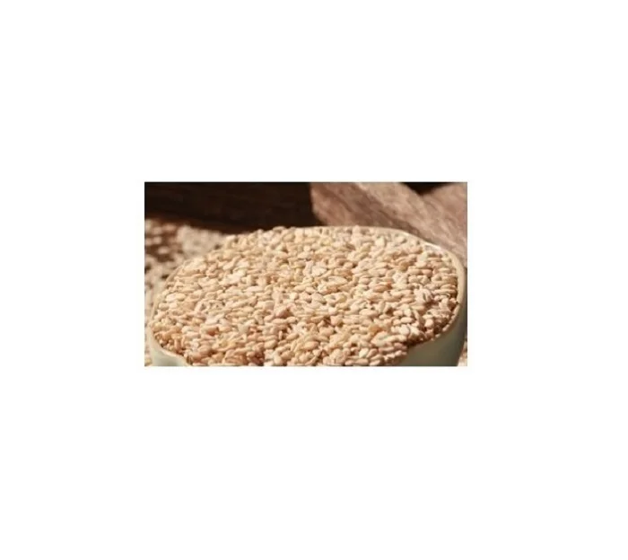 High Quality Fresh Sesame Ready to Ship
