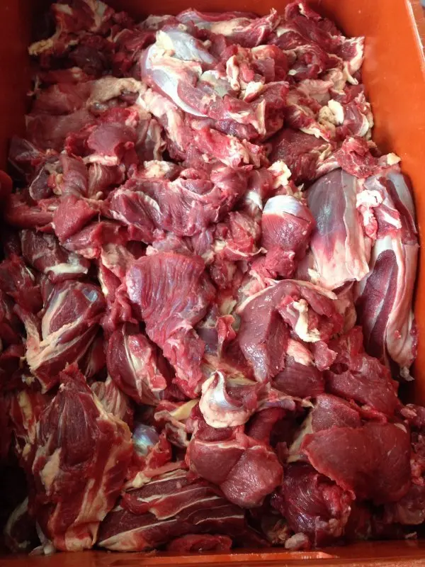 Frozen Beef Trimmings 80/20 Grass Fed Beef At Wholesale Price
