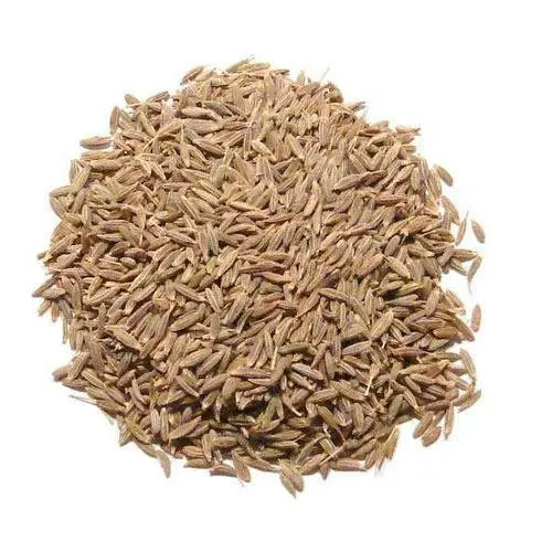 India wholesale export high quality Dried cumin seeds
