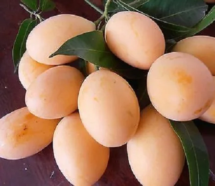 100% натуральная свежая марийская слива