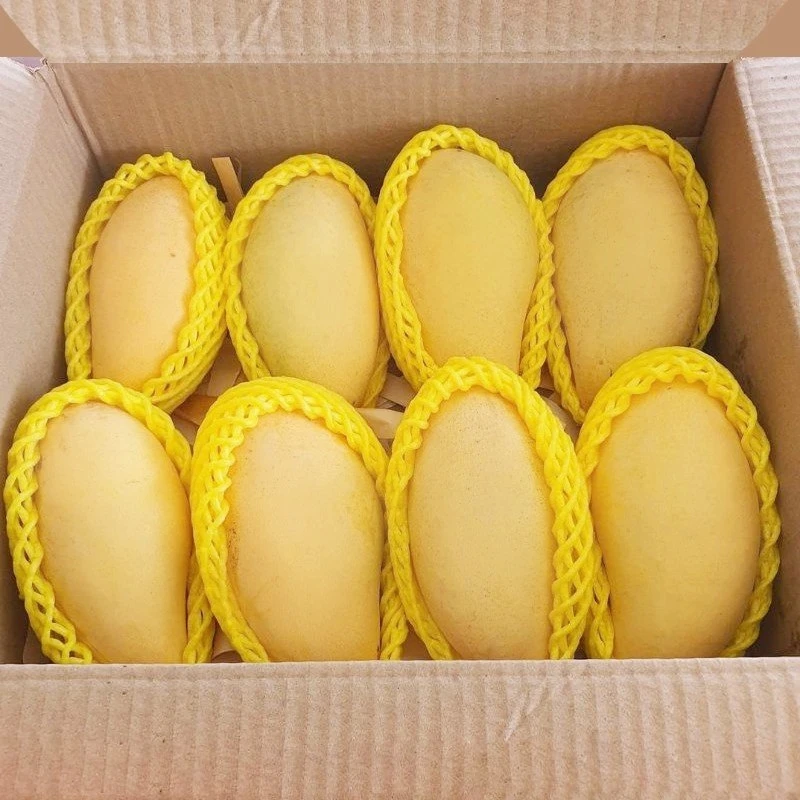 Высококачественные свежие манго золотого цвета класса А фрукты из Таиланда экспорт фруктов