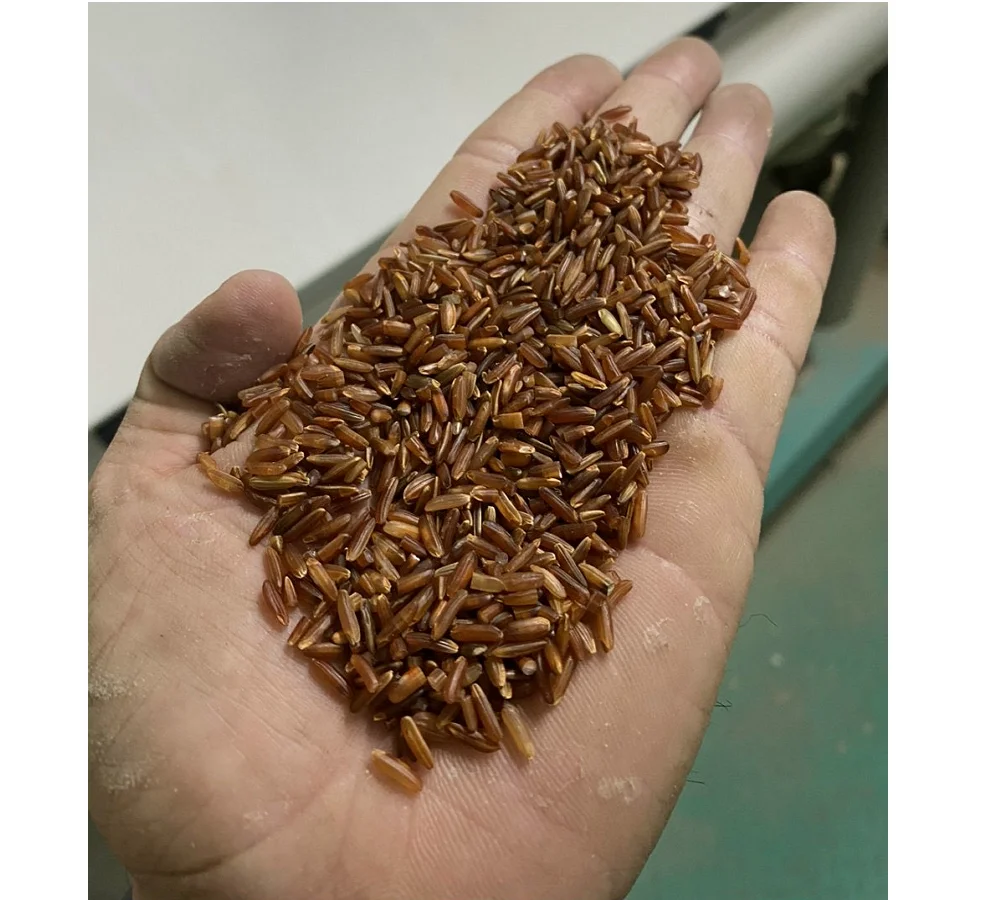 Natural Organic Red Rice Made In Viet Nam