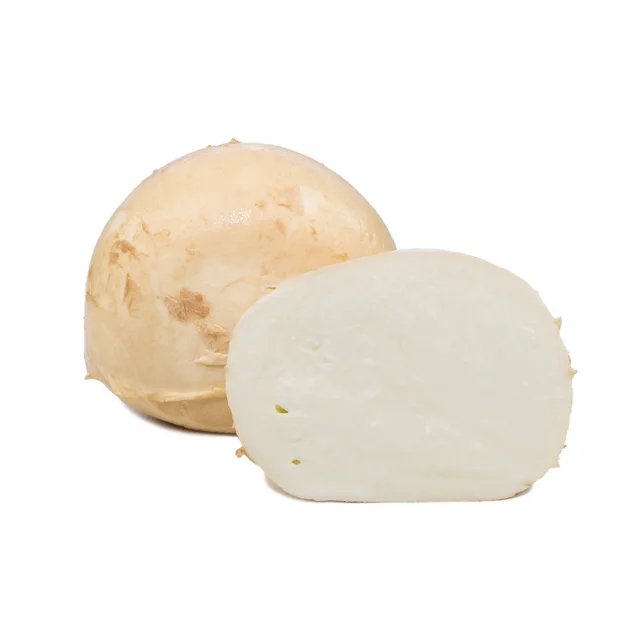High quality traditional italian food  bufala mozzarella DOP  for restaurant