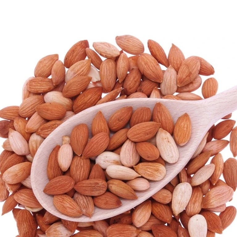fresh Apricot Kernels