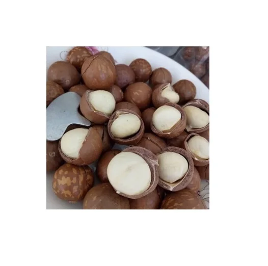 Органические жареные орехи макадамия в скорлупе сушеные сырые для использования пище whatsapp 0084587176063