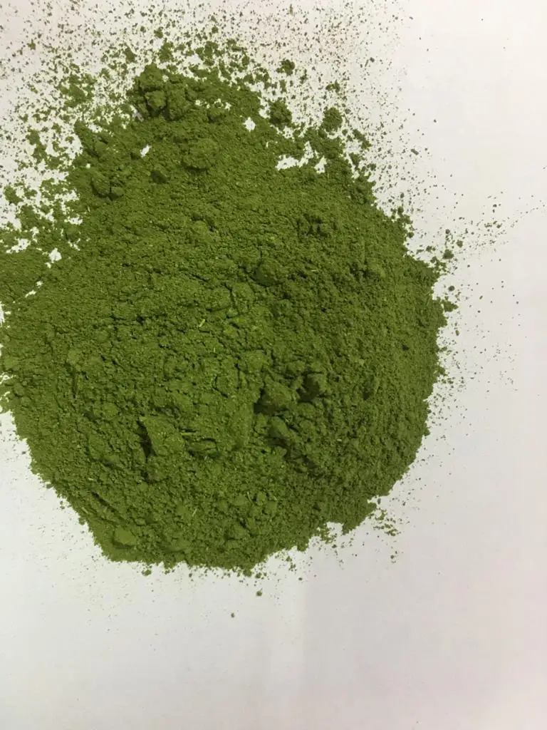 Moringa Leaves Powder for good health Factory Supply high quality drumstick leaves moringa powder