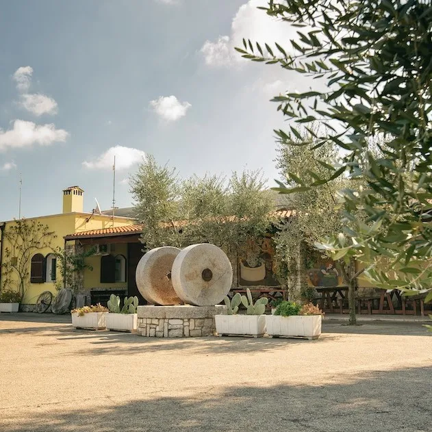 High Quality Italy ROSEMARY FLAVORED EXTRA VIRGIN OLIVE OIL for sale