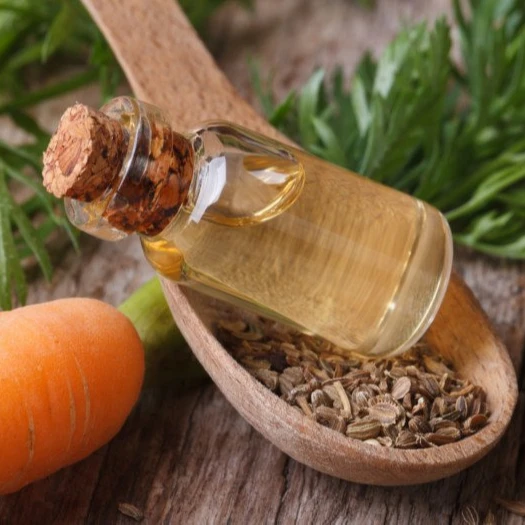Купить Высококачественное масло семян моркови по оптовым ценам от NATURES NATURAL INDIA | Чистое Масло Семян Моркови от индийских поставщиков
