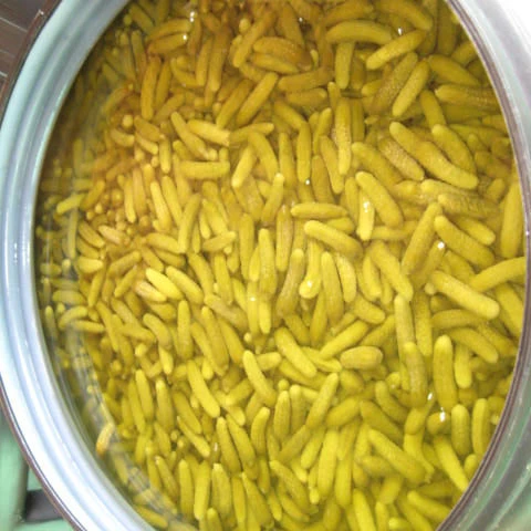 
Gherkins in 240/260 Lts Drums (Bulk) 