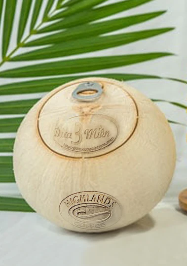 Vietnam 100% BENTRE FRESH WHOLE COCONUT WATER