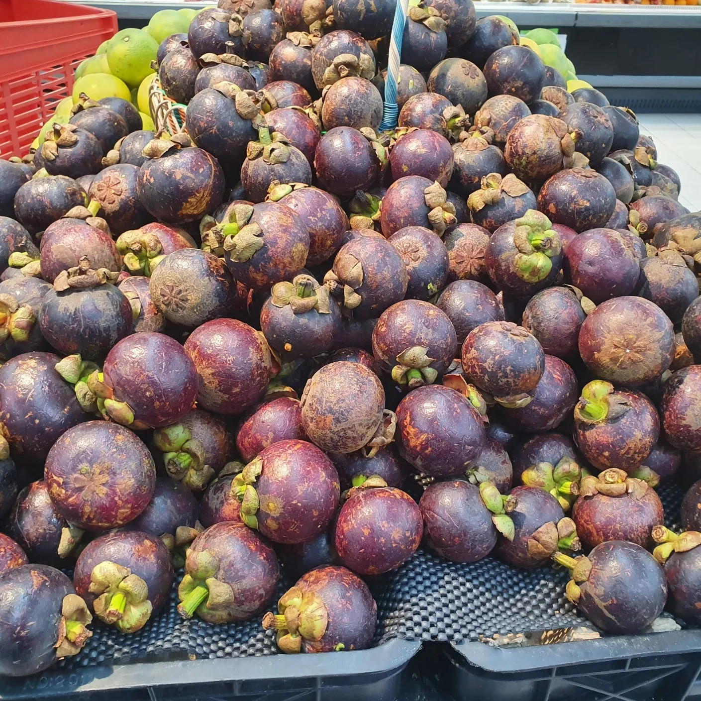 Fresh Fruit With Good Price 2021 - Mangosteen Fruit Sweet Taste