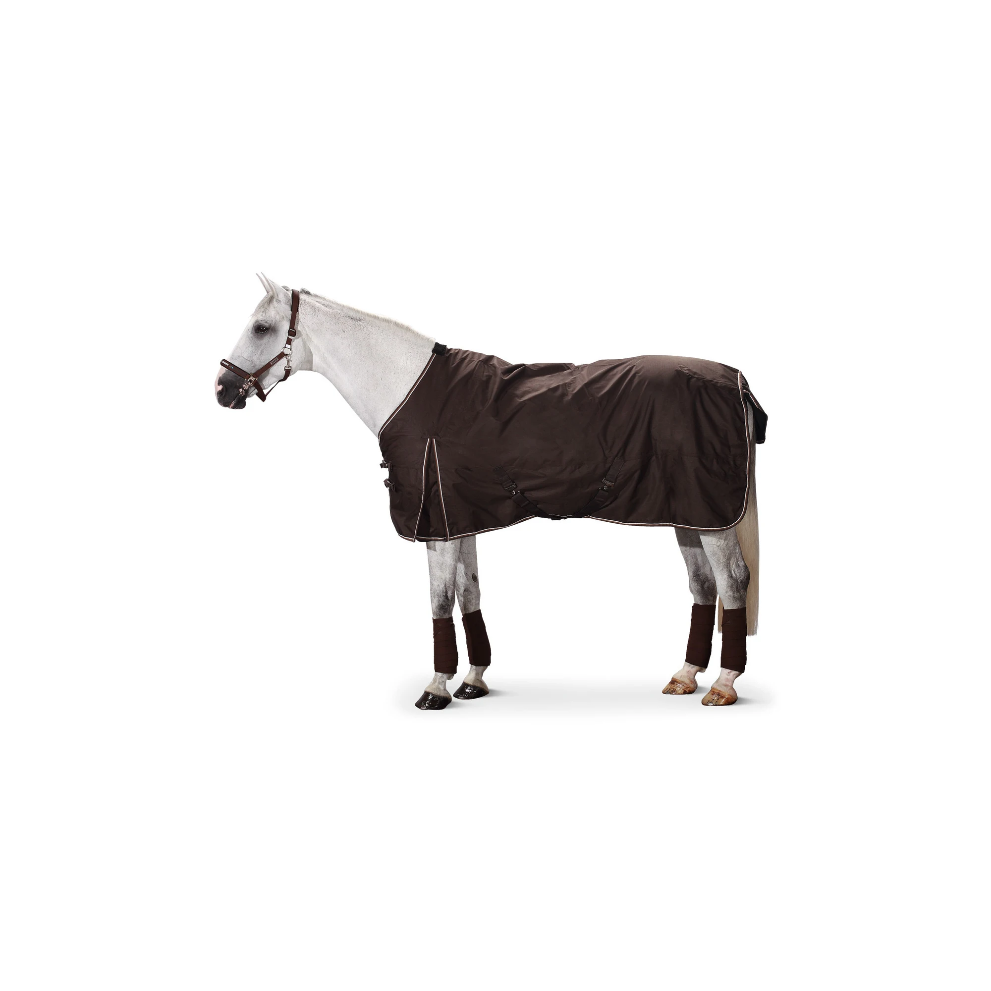 High Quality Soft Fabric Horse Winter Clothing Blanket Custom Horse Rugs, Horse Blanket rugs Cotton by canleo international