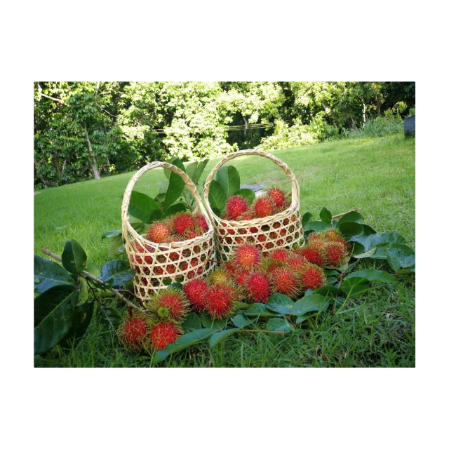 Fresh Rambutan Fruit, Natural Sweet Tropical Fruit From Thailand Best Price Wholesale High Quality