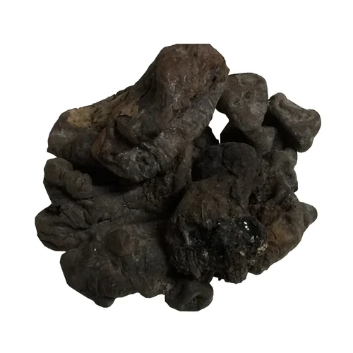 Mochras Gum  Salmaliamalabarica It Is Used To Treat Wounds Acne Skin Blemish Pigmentation Cold And Cough