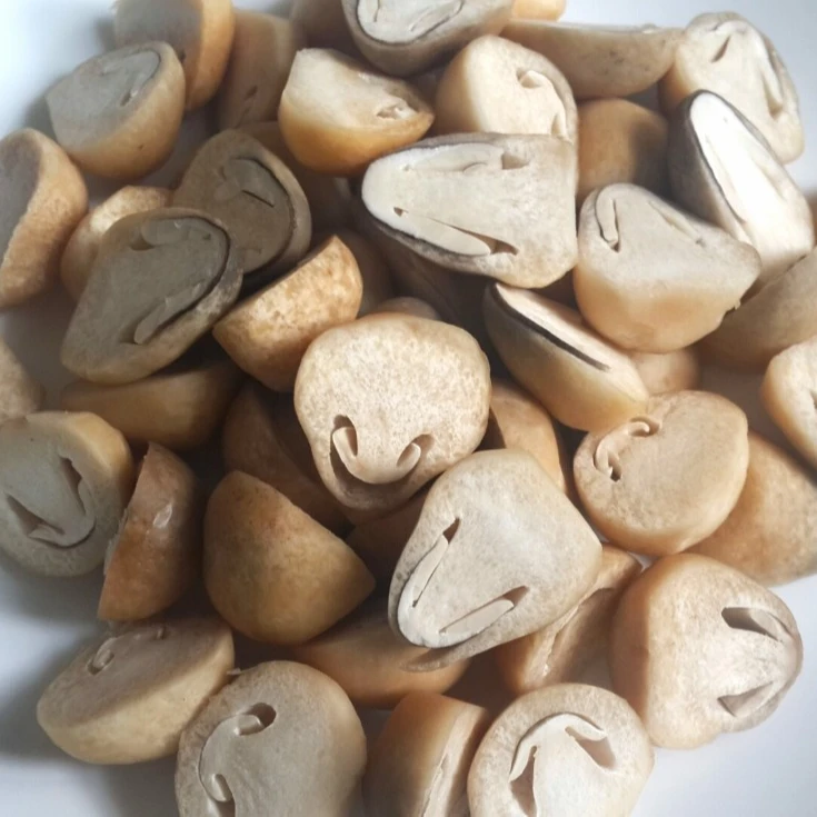 WHOLESALE FRESH STRAW MUSHROOM IN BULK (Whatsapp:  84 845 639 639) in 2021