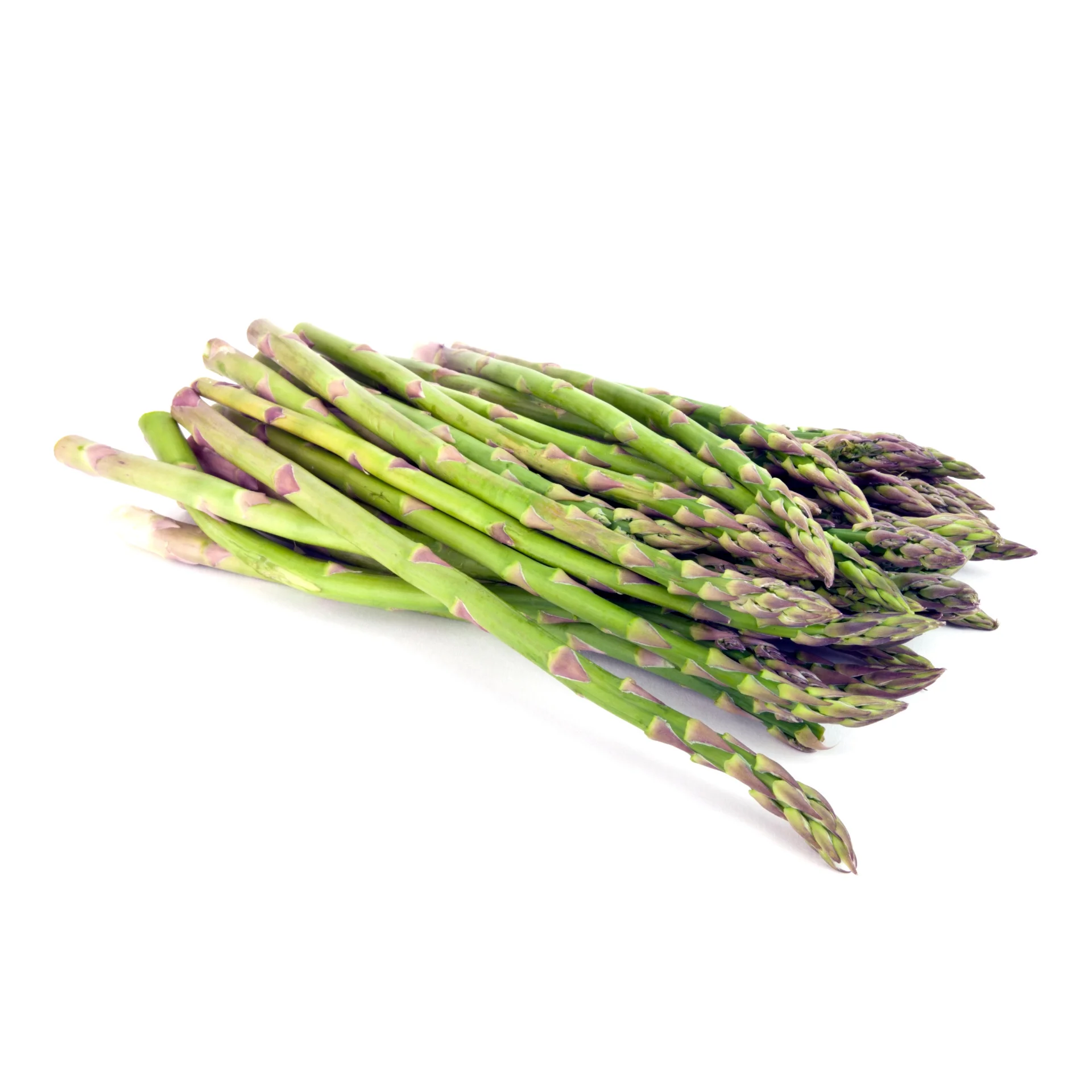 Asparagus - High fresh quality