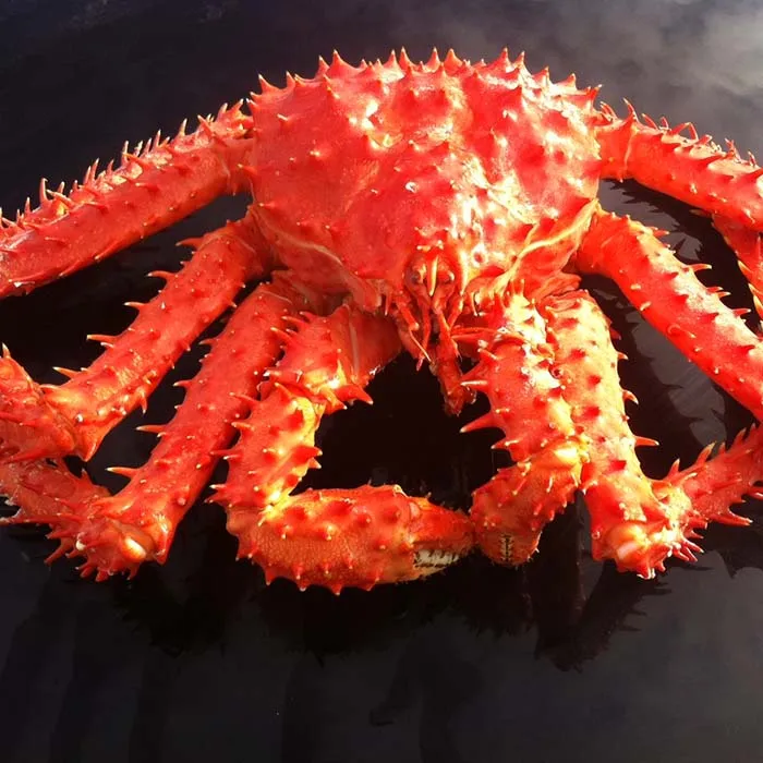  Legs King Style Crab Packaging Weight Shelf Muscle Origin Cutting Type Life Variety ISO Fresh Place Model HACCP Months HALAL