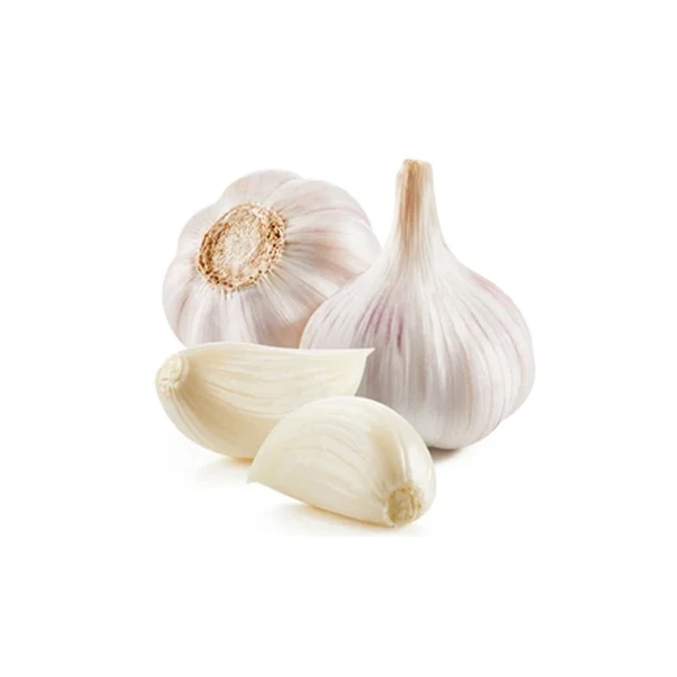Healthy Natural New Crop Pure Natural Organic Fresh Philippines White Garlic at Least Price