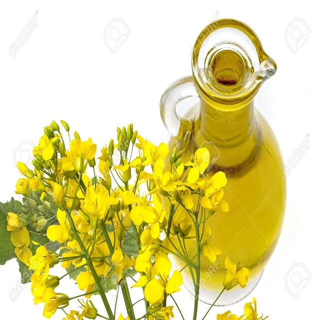 Wholesale of Refined/ Organic/ Crude Degummed Rape Seed Oil