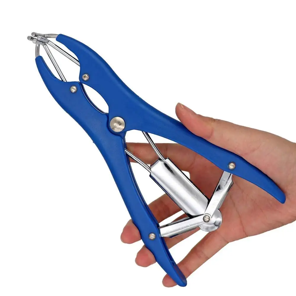 Stainless Steel Castration Banding Tail Dock Cattle Sheep Goat Puppy