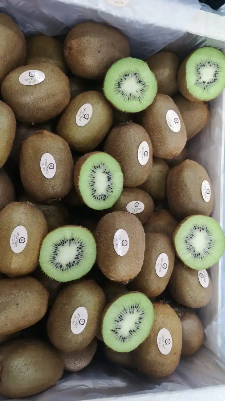 Hayward Kiwi origin Greece all sizes available