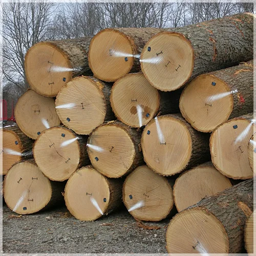 
Quality Round logs - Black Walnut Logs / Ukraine Wood Logs 