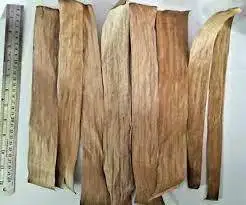 download-_3_ (1).jpeg