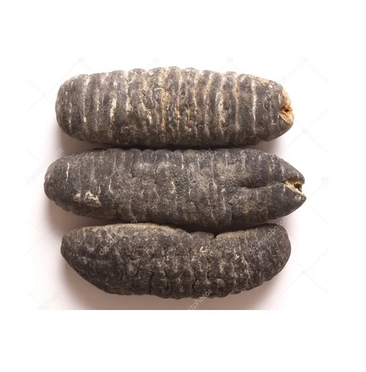 HIGH NUTRITION DRIED SEA CUCUMBER HIGH QUALITY WHITE TEAT FISH FROM VIETNAM SUPPLIER