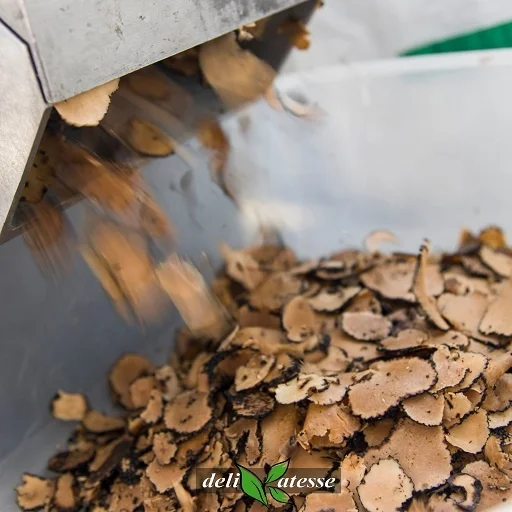 PORCINI CREAM WITH BLACK SUMMER TRUFFLE in glass jar 90gr, 180gr, 500gr, 1000gr, Italian origin excellent on pizza, pasta