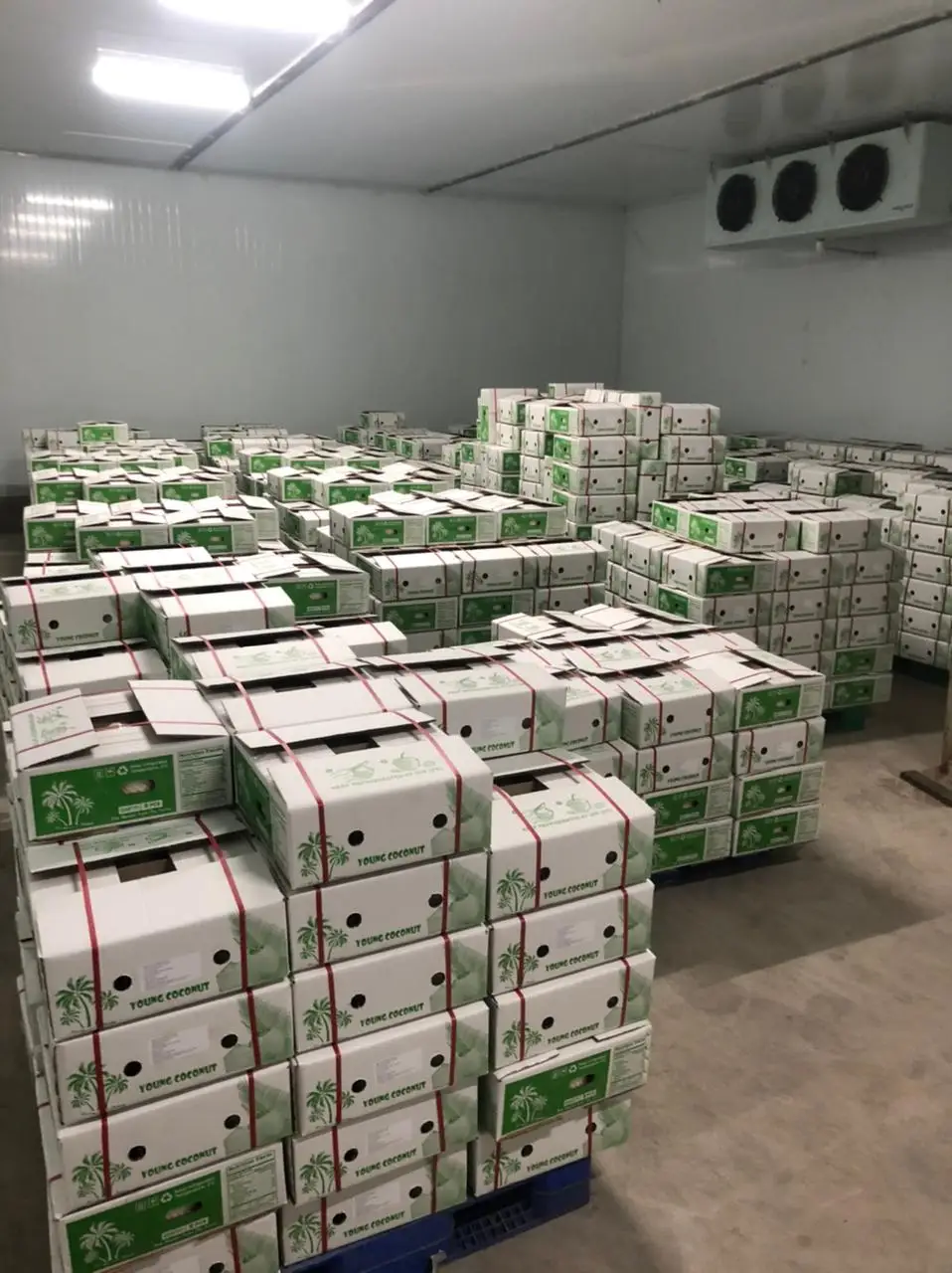 
DIAMOND COCONUT MADE IN VIETNAM +84916611103 whatsapp 