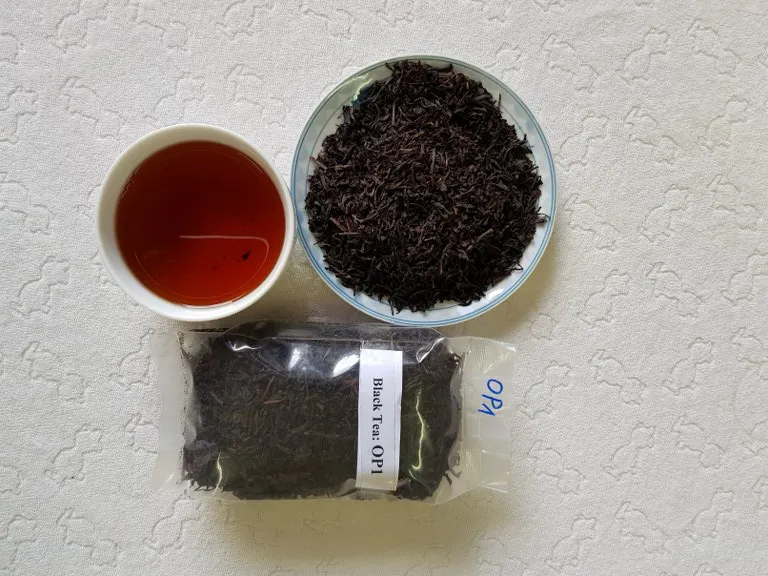 OP Black Tea / Camellia sinensis