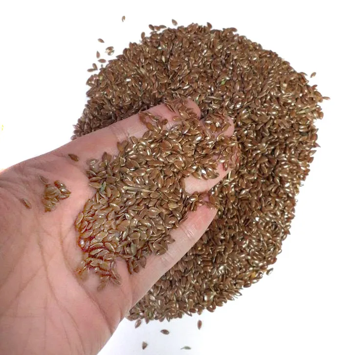 
Organic flax seeds bulk 