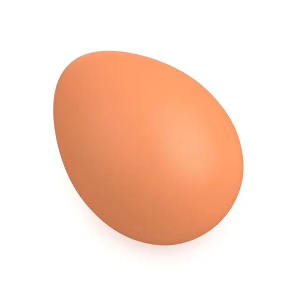 High Quality Fertile Hatching Chicken Egg/Fresh Chicken Table Eggs