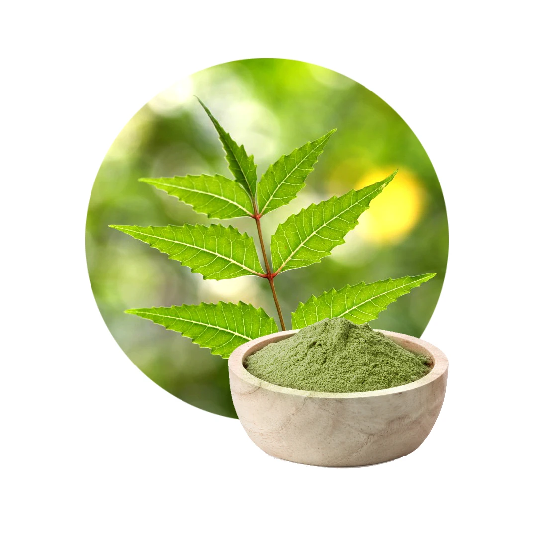 Best Quality Organic Pure Neem Leaves Powder for Silky Hair & Hair Care Manufacturer private label OEM Indian Herb