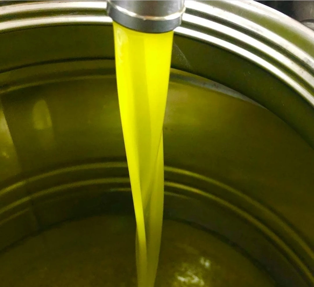 Экстра натуральное оливковое масло Castello di Barbialla 2017