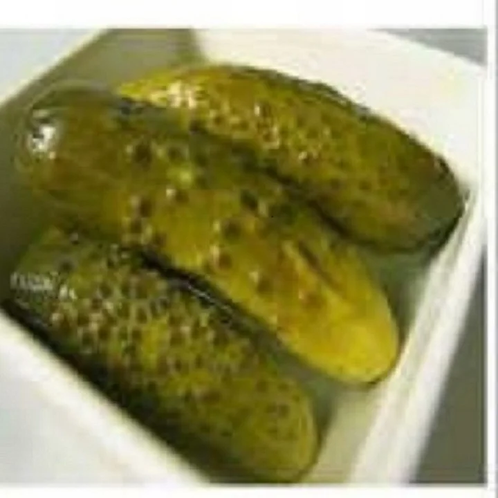Indian Pickled Gherkins in Barrels/Buckets/Pails 15 Kgs