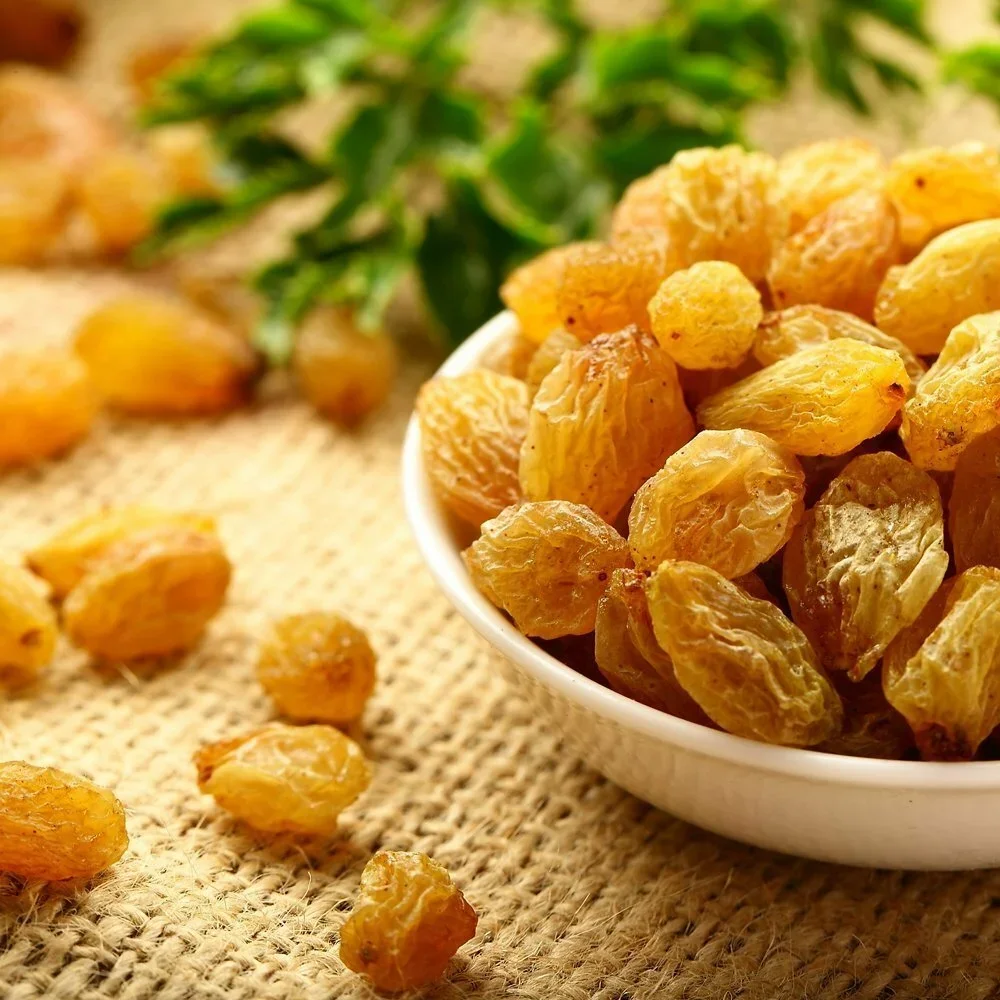 Изюм без семян. Сушеный зеленый виноград. Сушить на солнце. Вкусный и высококачественный. Средиземноморские фрукты. Сушеные фрукты