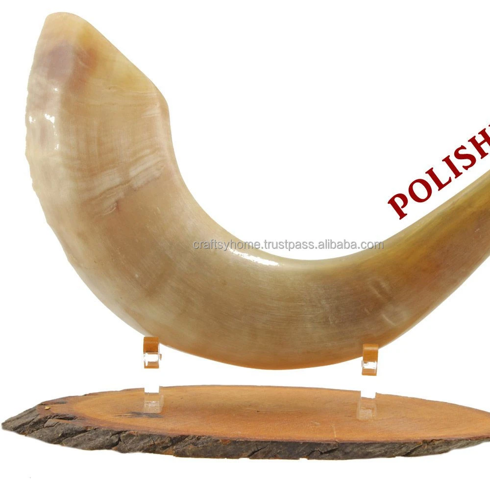 Natural Sheep Ram Horns for Dogs Organic Free Range Lamb Horn Training Treat High Protein By CRAFTSY HOME