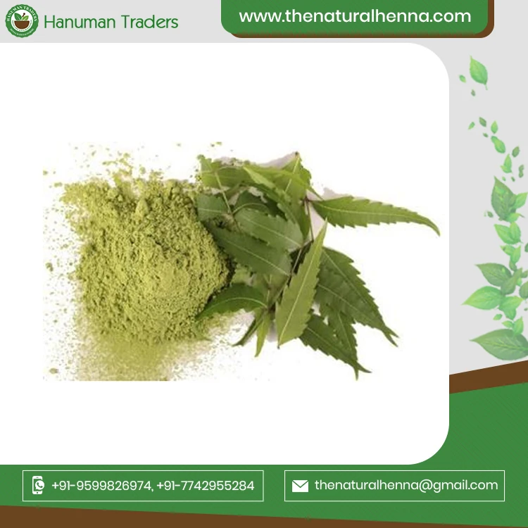 Best Quality Pure Neem Leaves Powder For Ayurvedic Medicine Buy at Less Competitive Price