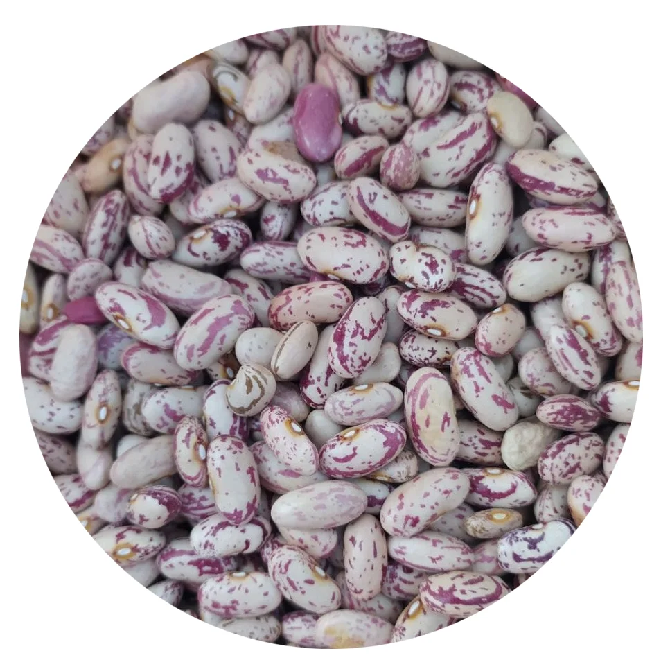 Урожай 2021 октября, оптовая продажа, качество из Узбекистана, пакеты, 25 кг, натуральная сушеная легкая зернистая фасоль