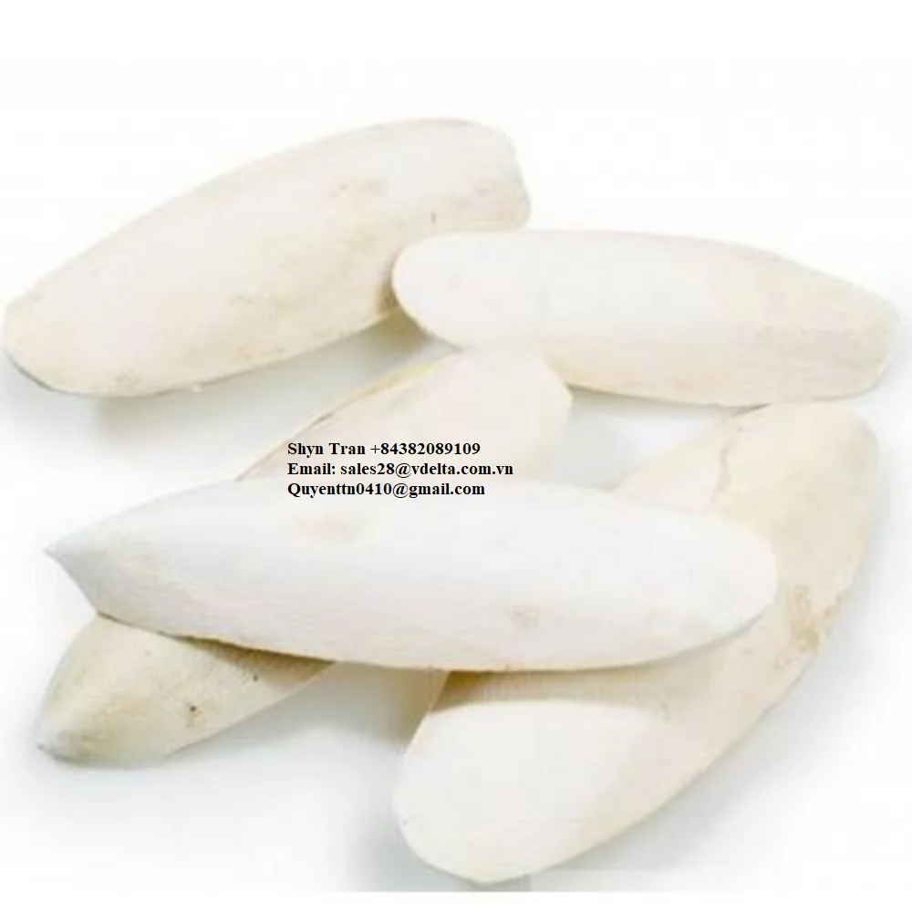 Wholesale Supplier CUTTLEFISH BONE/CUTTLEBONE from Viet Nam//Shyn Tran +84382089109