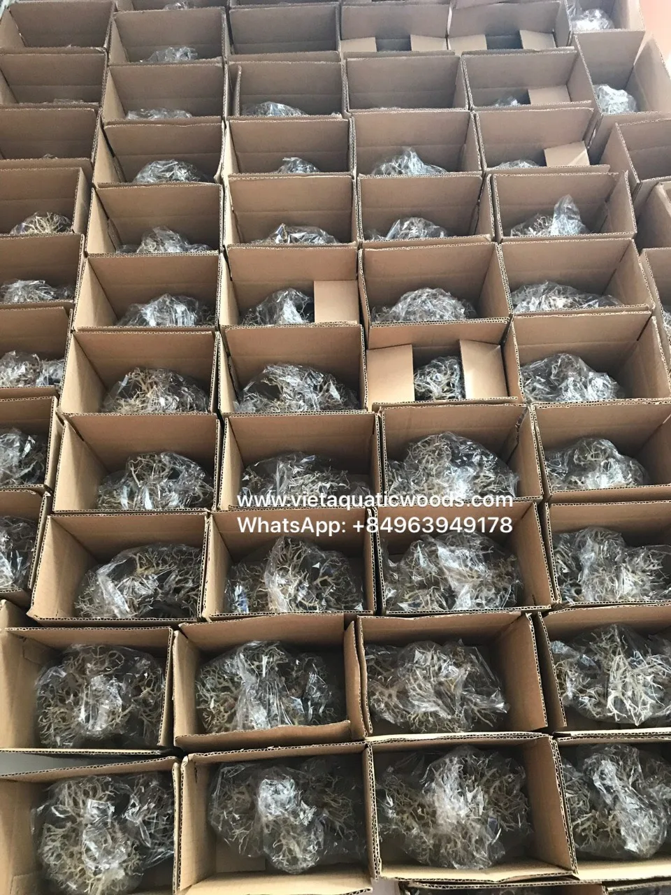  Аквариум Driftwood естественный WhatsApp: + 84 963 949