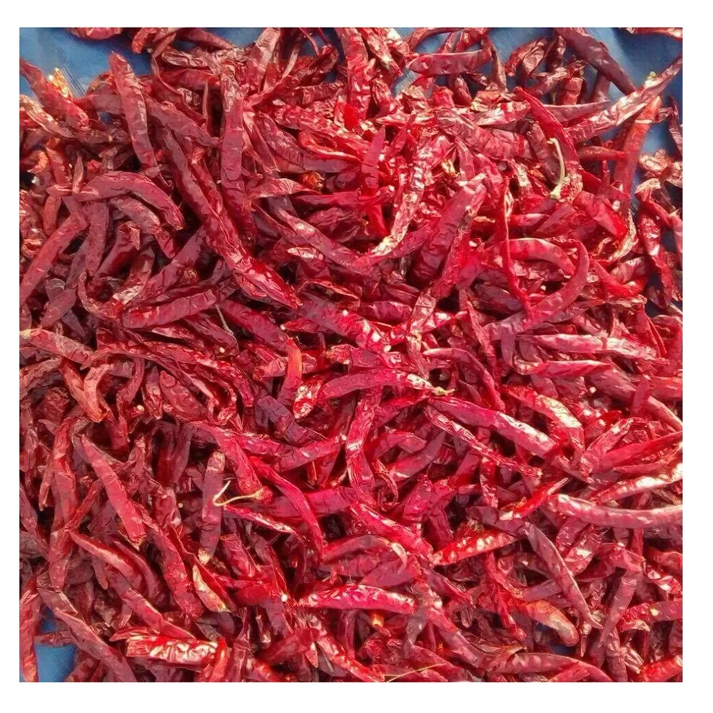 Bulk Purchase Whole Natural Dried Chili Top Grade Indian Spices & Herbs Products Buy From Indian Manufacturer
