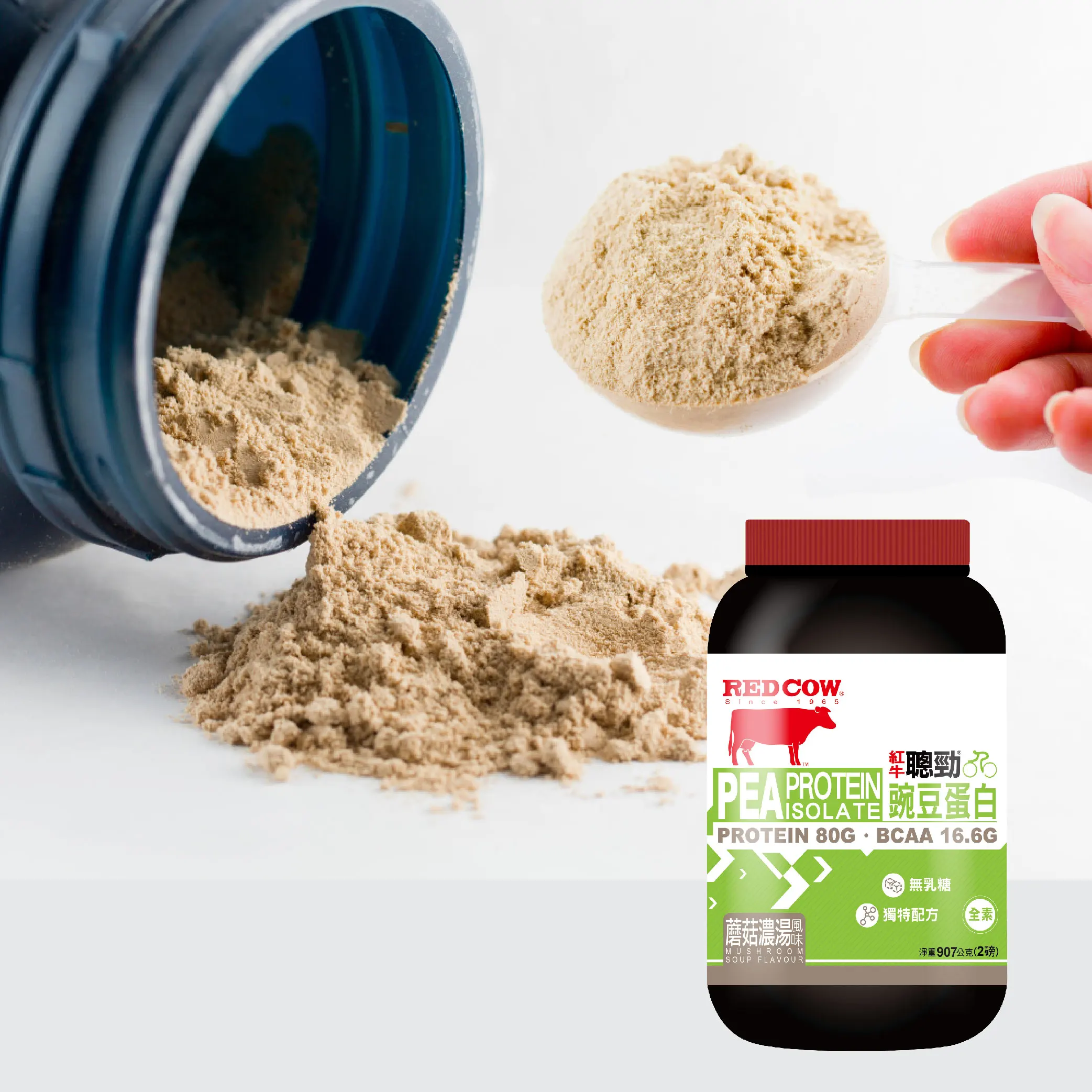  Белок гороха ароматизатор грибного супа 2 фунта