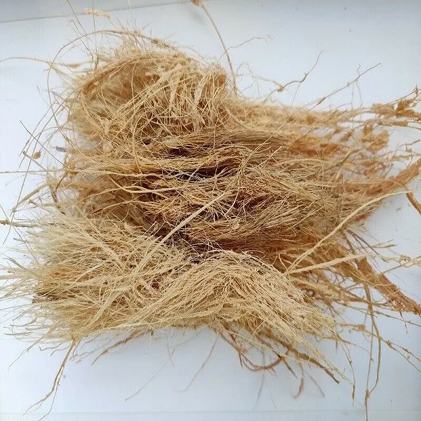 
Best Quality ever Natural HIGH QUALITY COCONUT LIGHT FIBRE BULK IN ALL COLOURS 