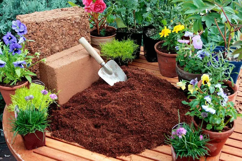Горячая Распродажа! Cocopeat в блоке прямой завод cocopeat 100% органический кокосовый продукт сделано