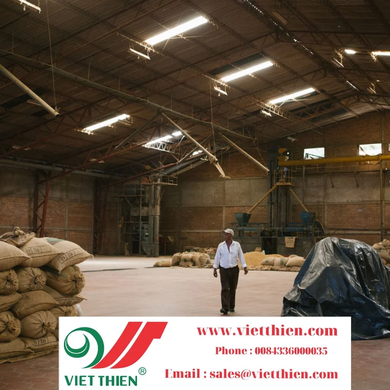 Необработанные кофейные зерна производятся в больших количествах и экспортируются на зарубежные рынки по разумной цене для обеспечения безопасности пользователя