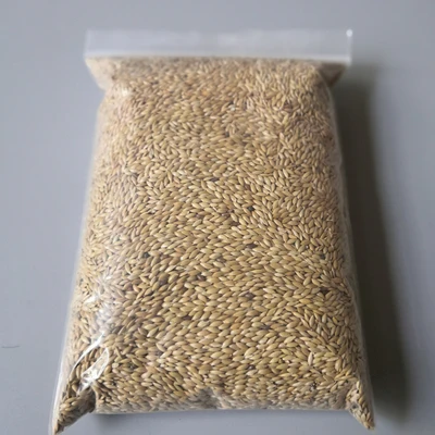 quality canary seeds