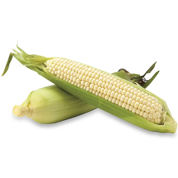 Высушенная желтая кукуруза 2 класса без ГМО подходит для употребления человеком и корма